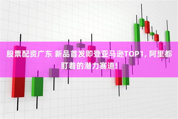 股票配资广东 新品首发即登亚马逊TOP1, 阿里都盯着的潜力赛道!