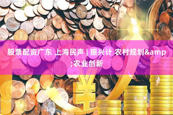 股票配资广东 上海民声 | 振兴计 农村规划&农业创新
